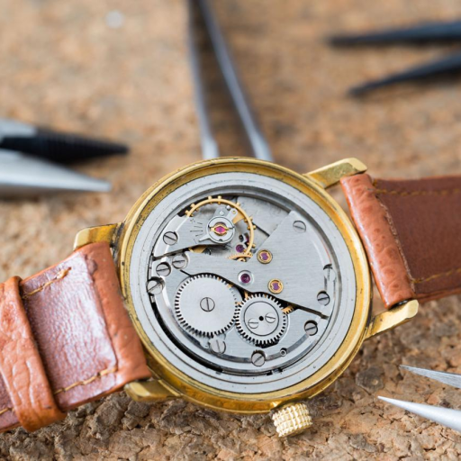 Luxury watch with exposed movement
